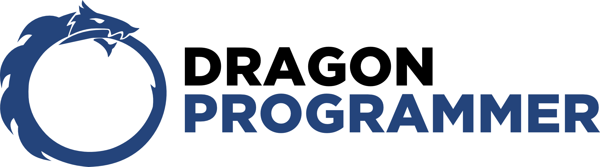 Dragon Programmer